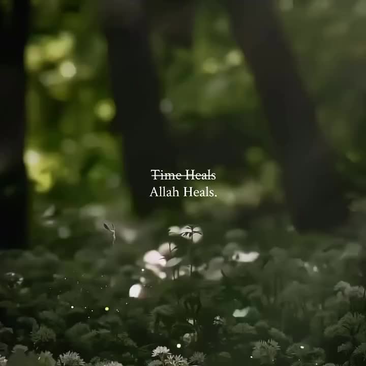 @﷽