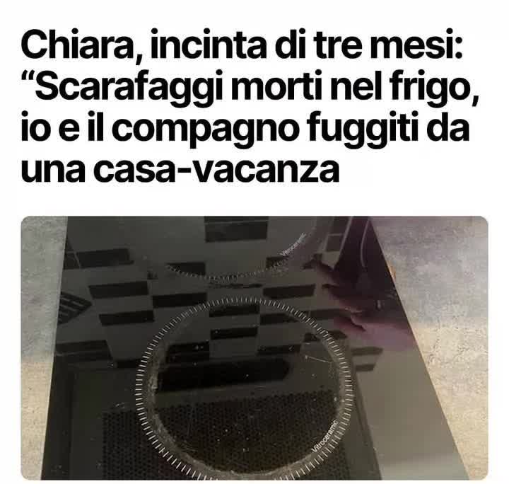@Michele72☑️