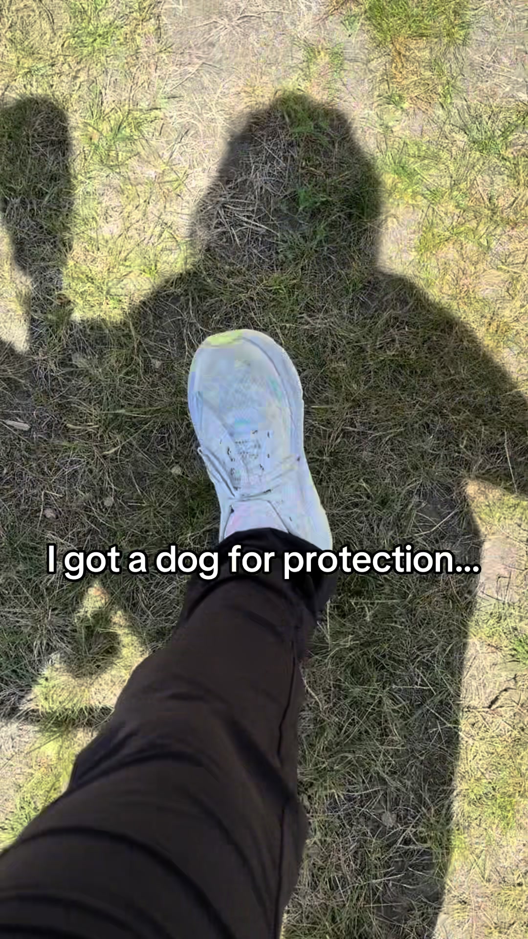 @DennisTheBlackLab