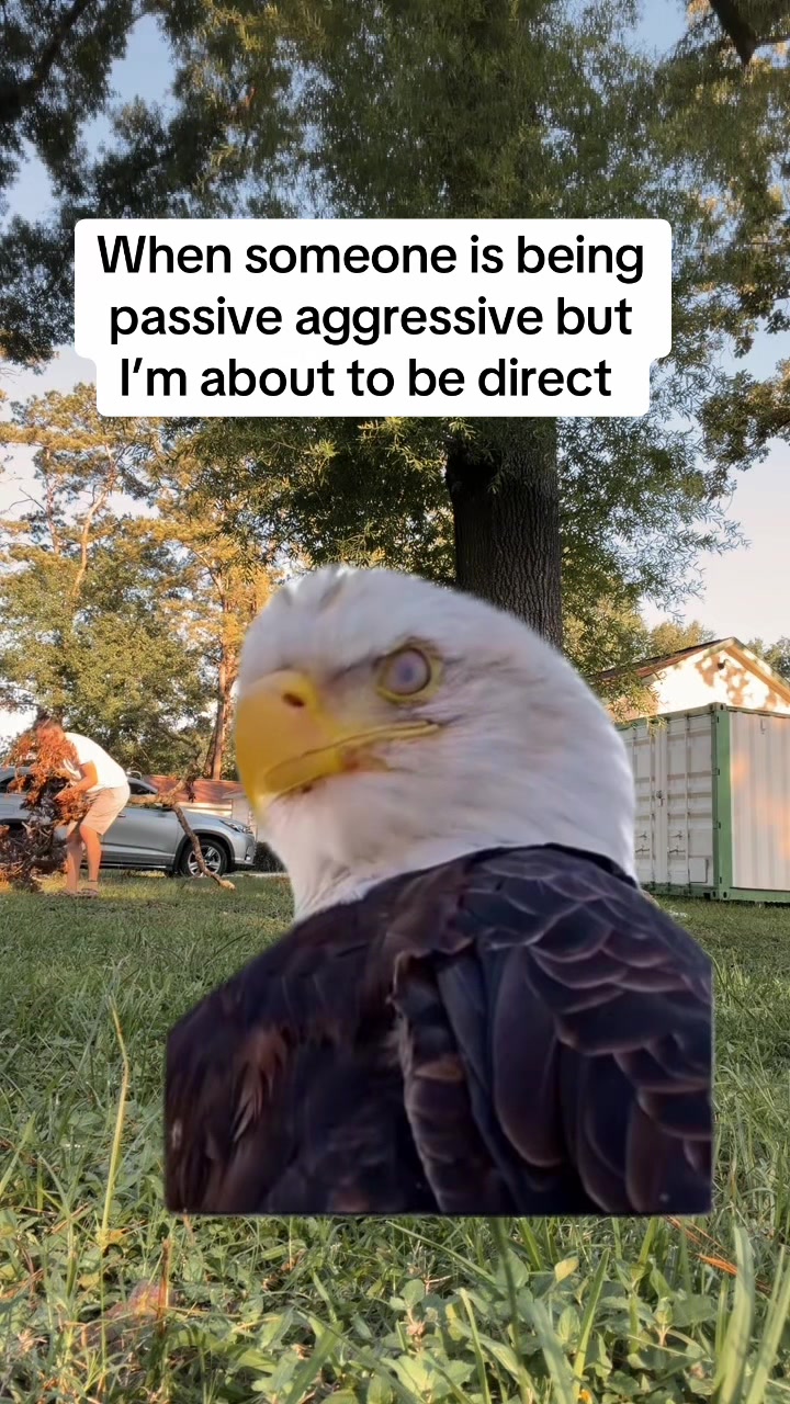 @the_sarah_jones