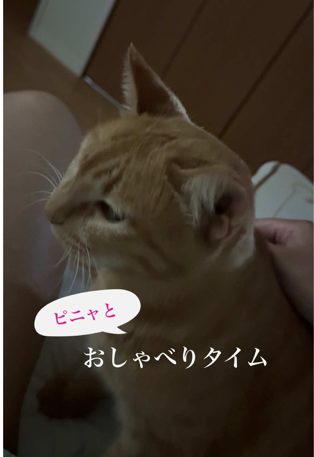 @さっことおちょ