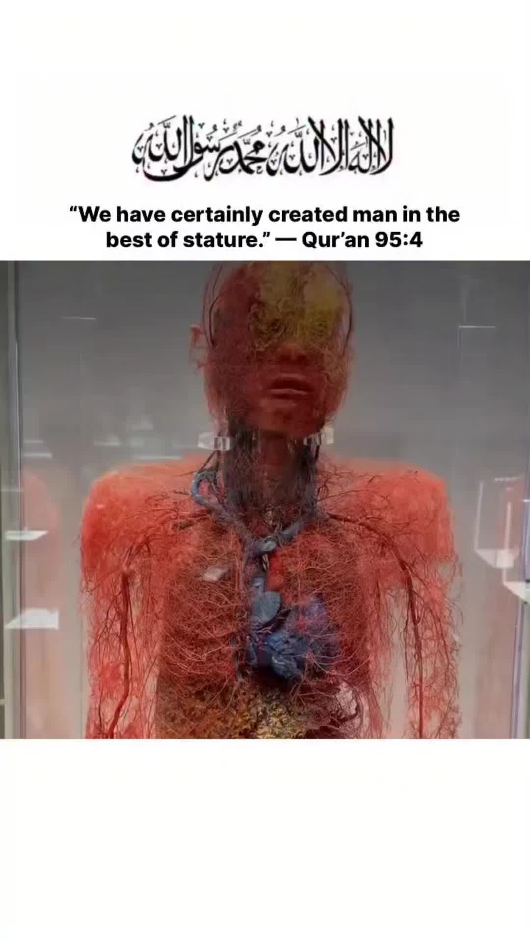 @Waseem Wasi