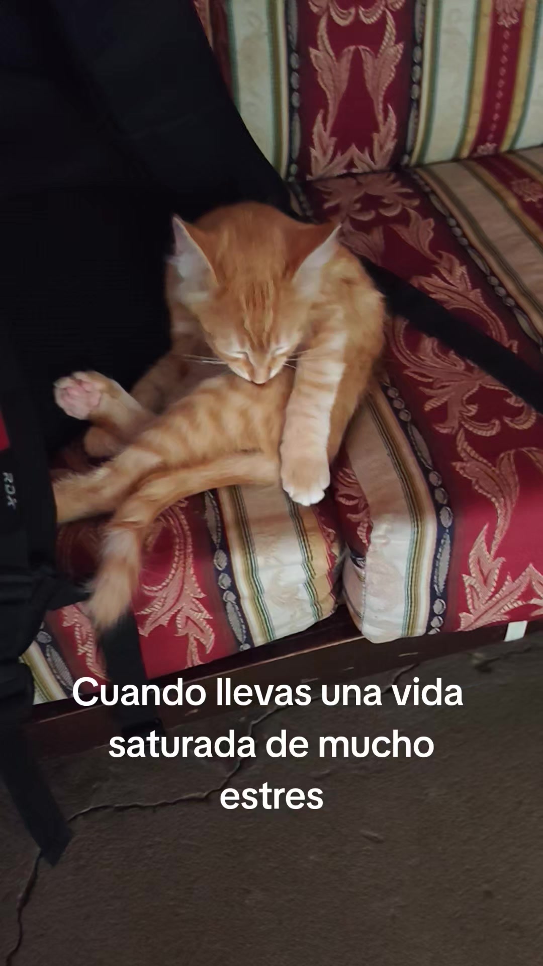 @M.O