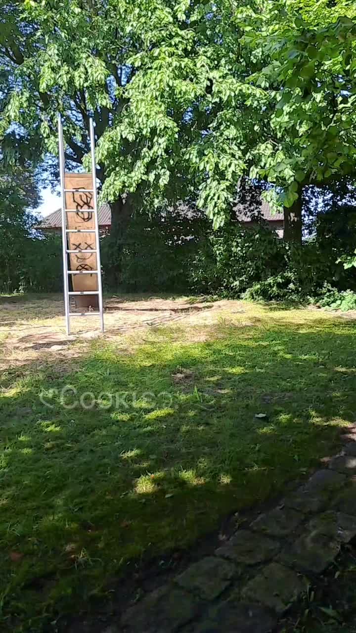 @𑣲С&omicron;&omicron;к&iota;&epsilon;᭡.𓂃