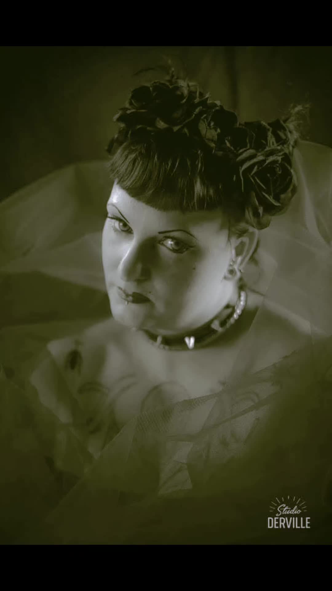 @🦇Abbey Von Stein🦇