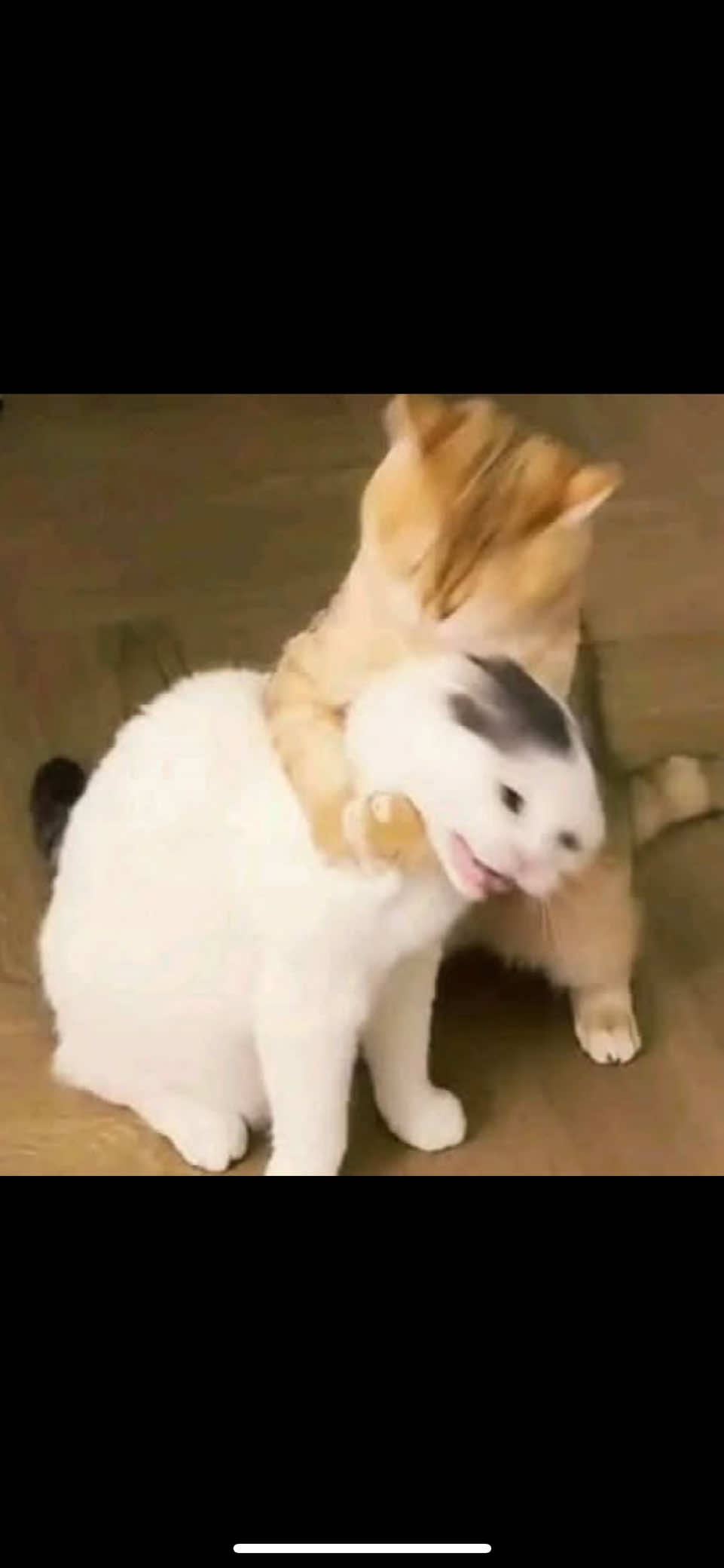 @♥︎