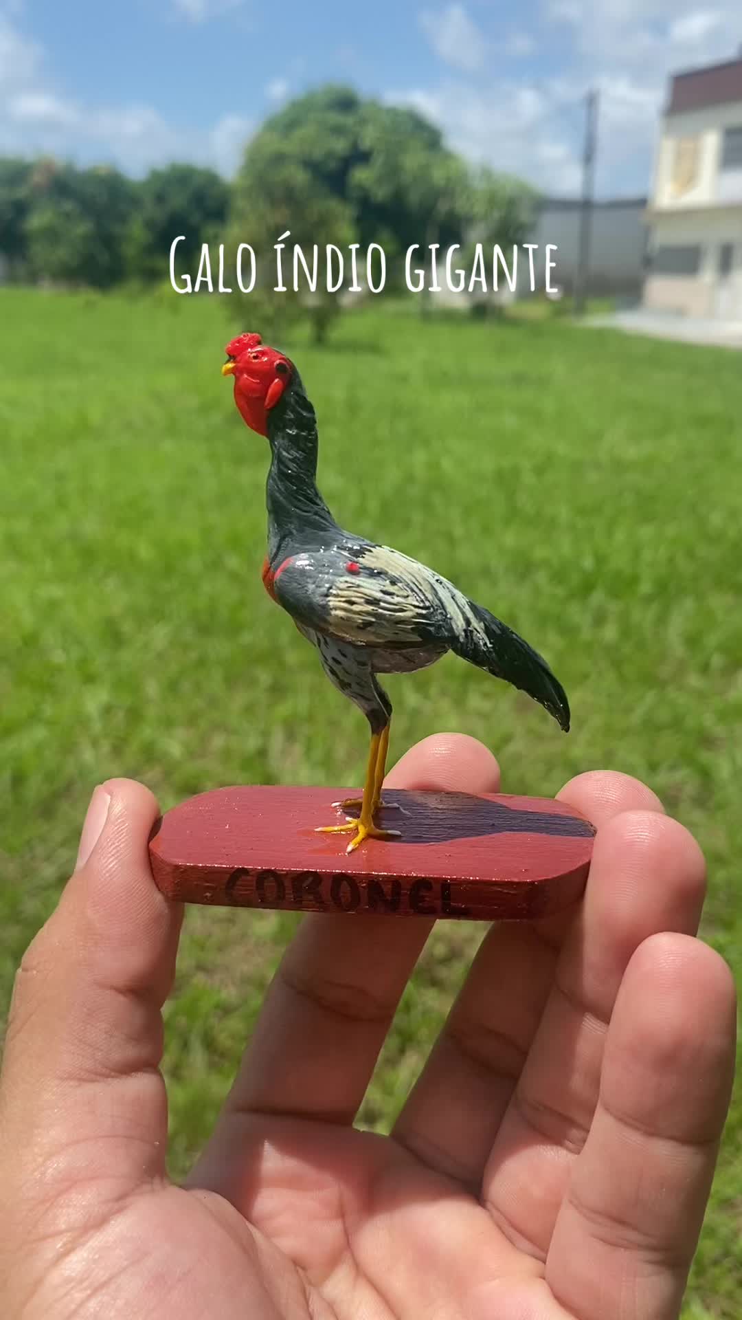 @Raízesdosertão