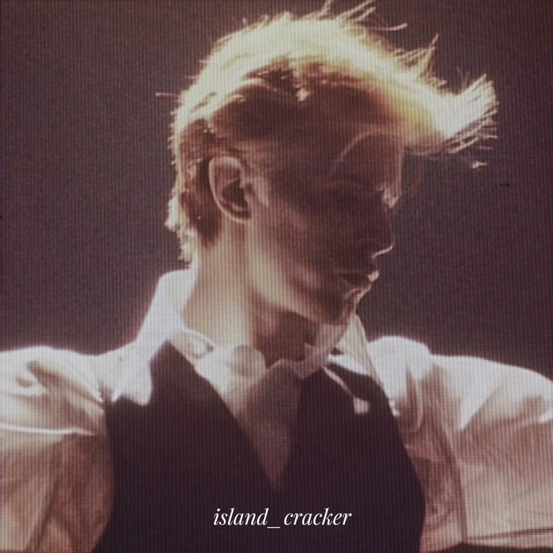 @island_Cracker(🥂🐞🪲🦍🍋📻⚡️)