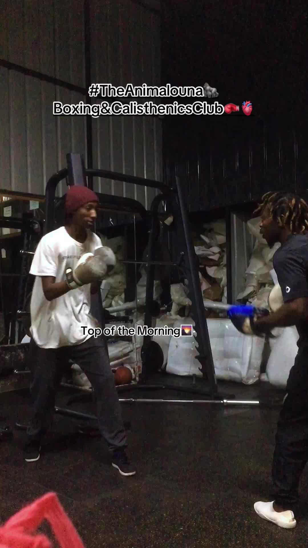 @TheAnimalOuna🦍&hellip;