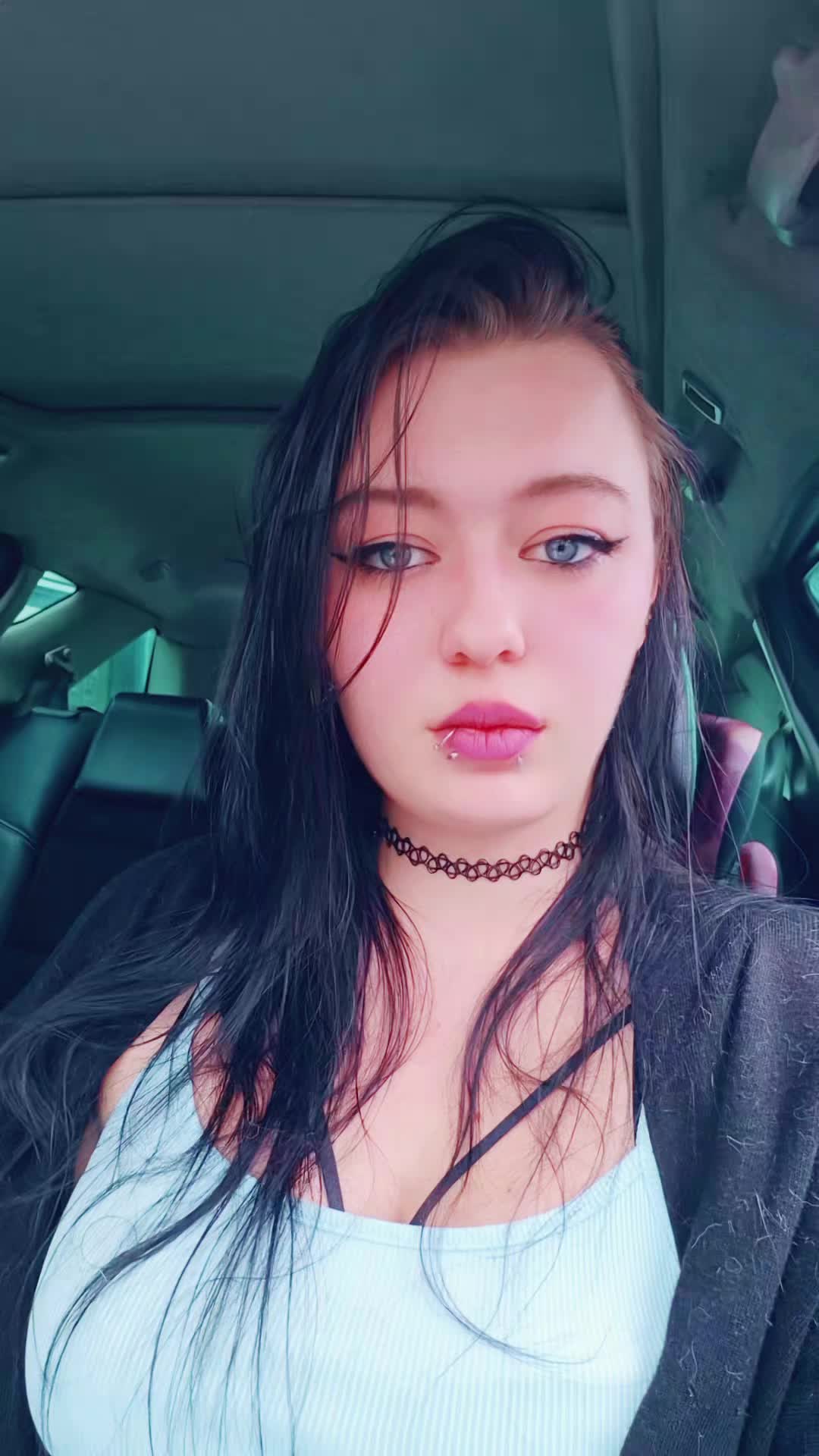 @bvb_spam