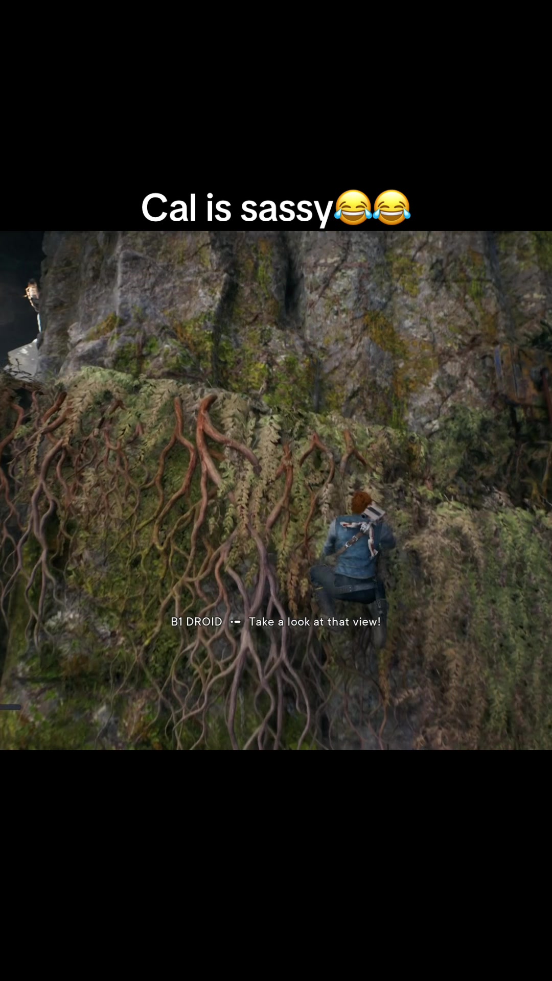 @Pandora