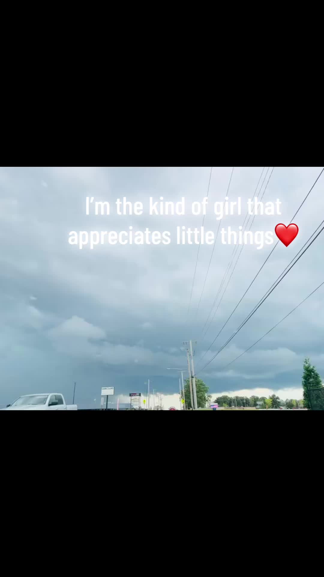 @Abby🦥🐄🐢