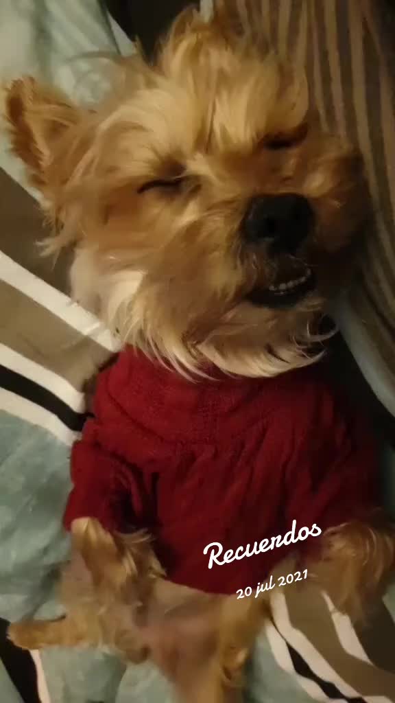 @Milu