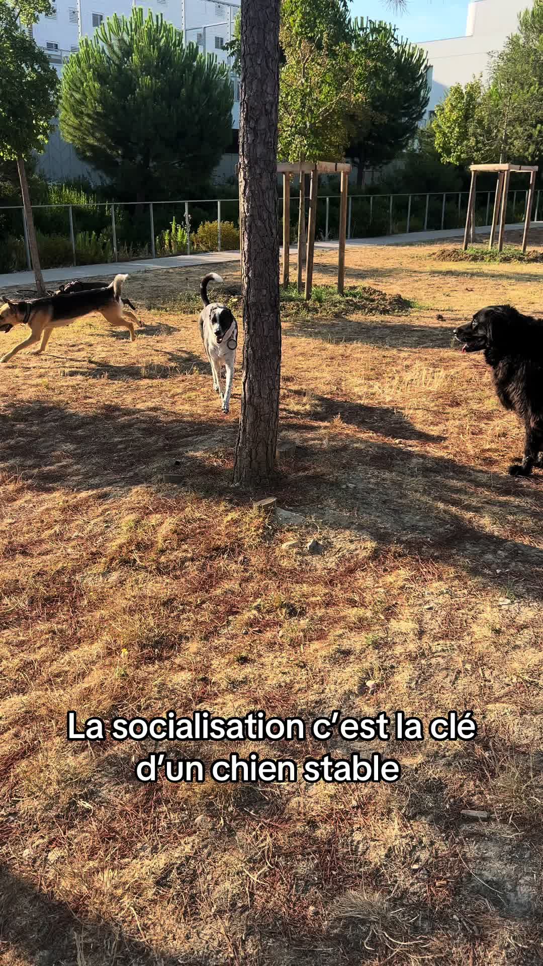 @Loana 🐈⬛