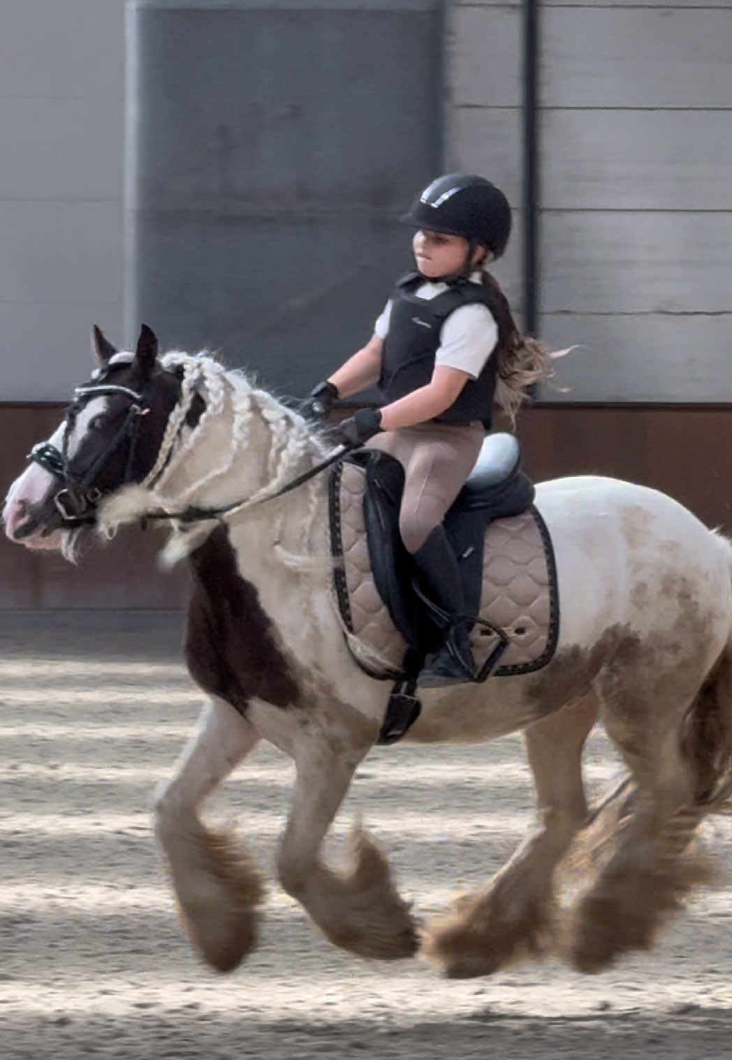 @Young Rider Journey🐴