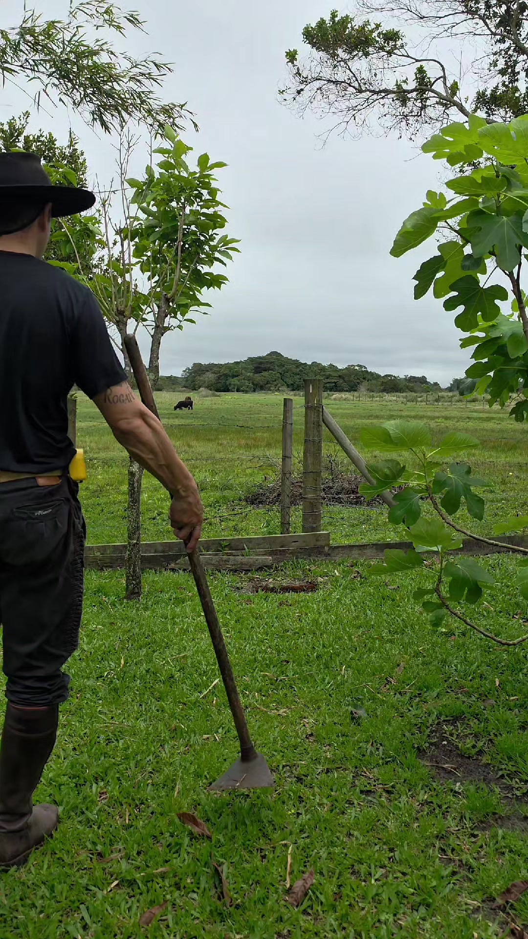 @Gilmar J&uacute;nior - Ga&uacute;cho Bagual