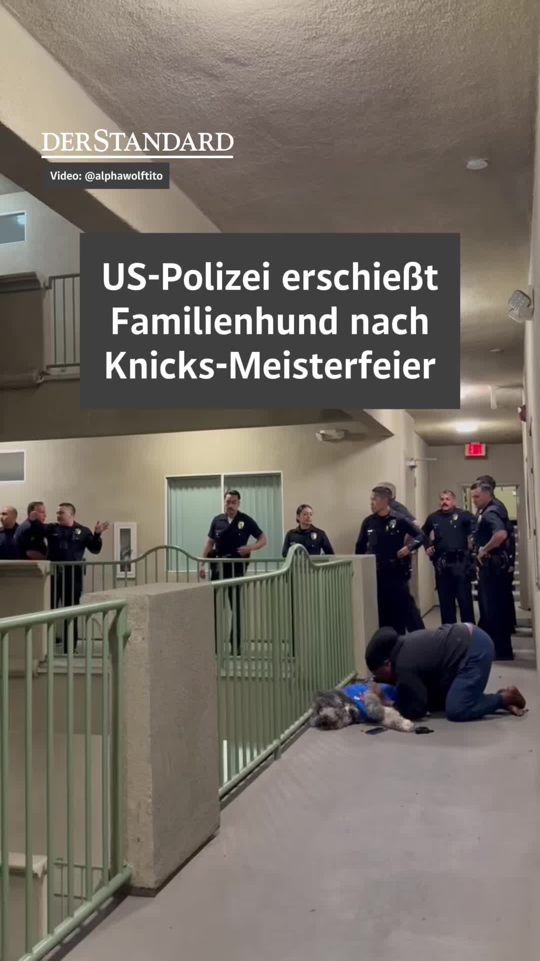 @DER STANDARD News