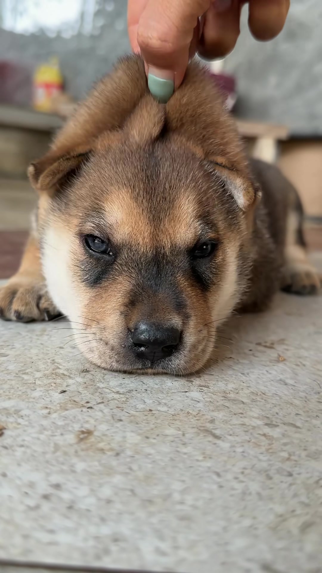 @Longjunbao