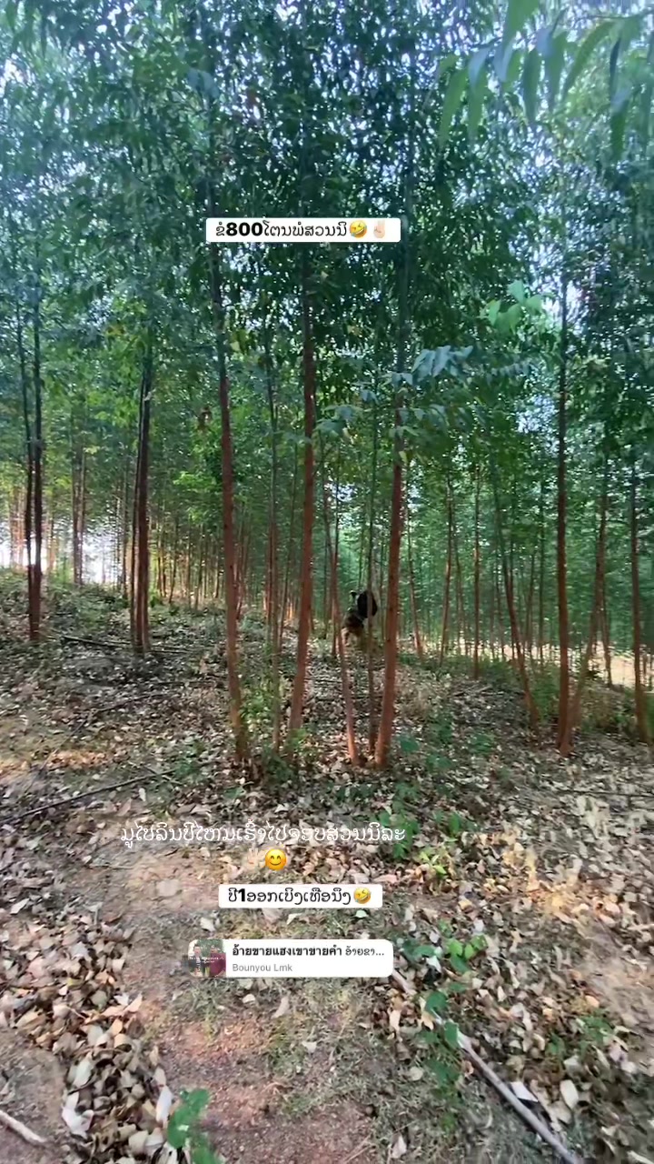 @ຄອນ ພໍຄາລົດມື2💸🥰