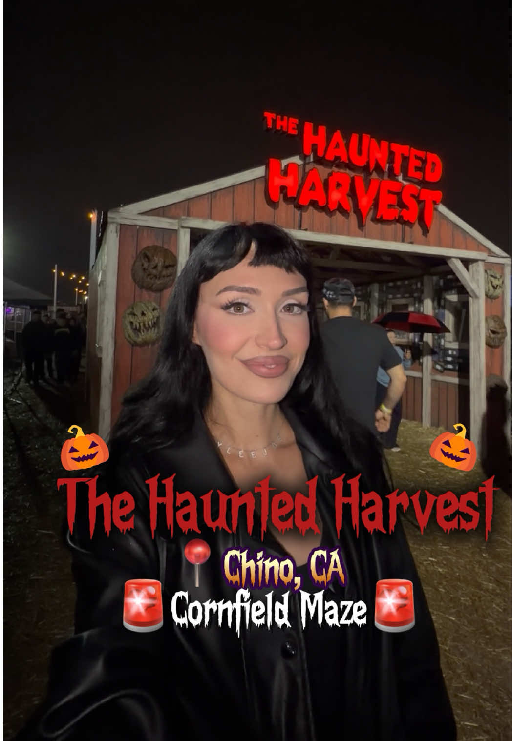 @hayleejoe