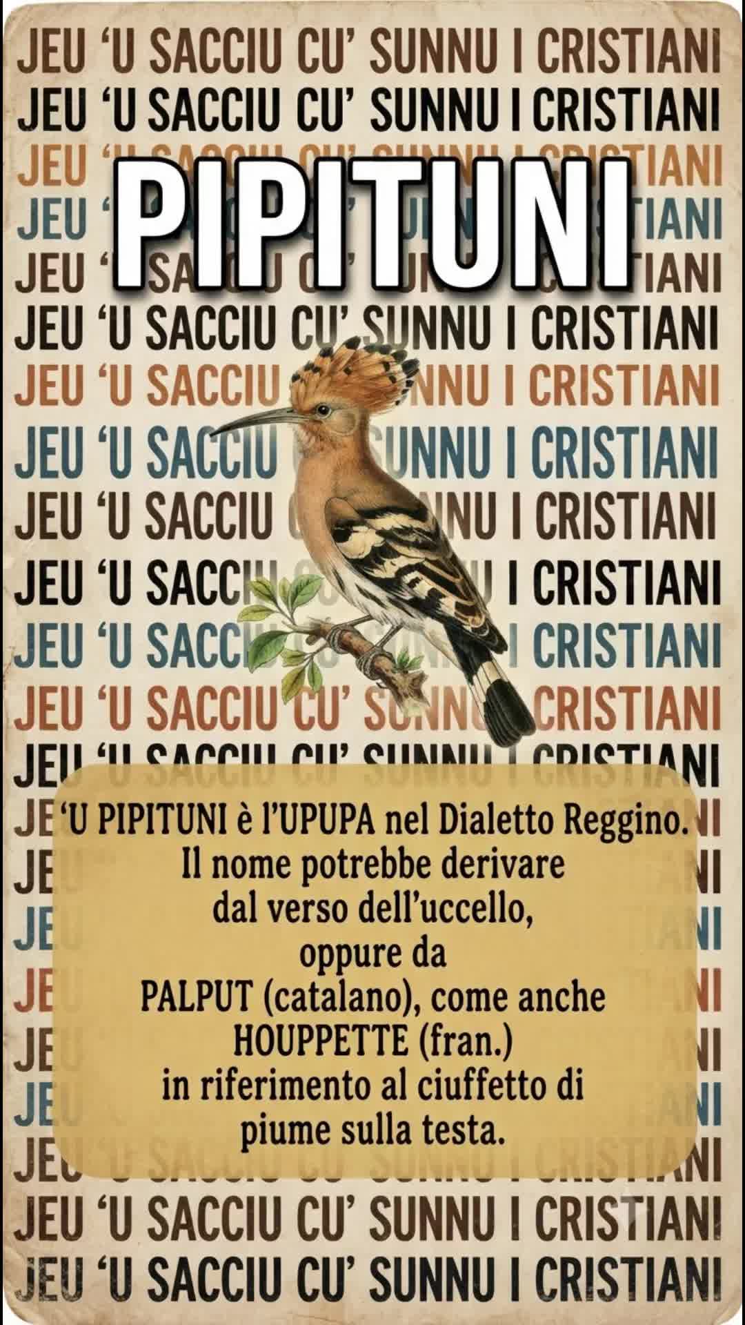 @Jeu u sacciu