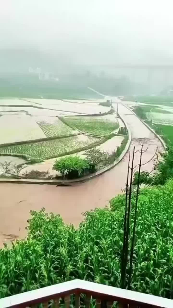 @bhakti.chapagai