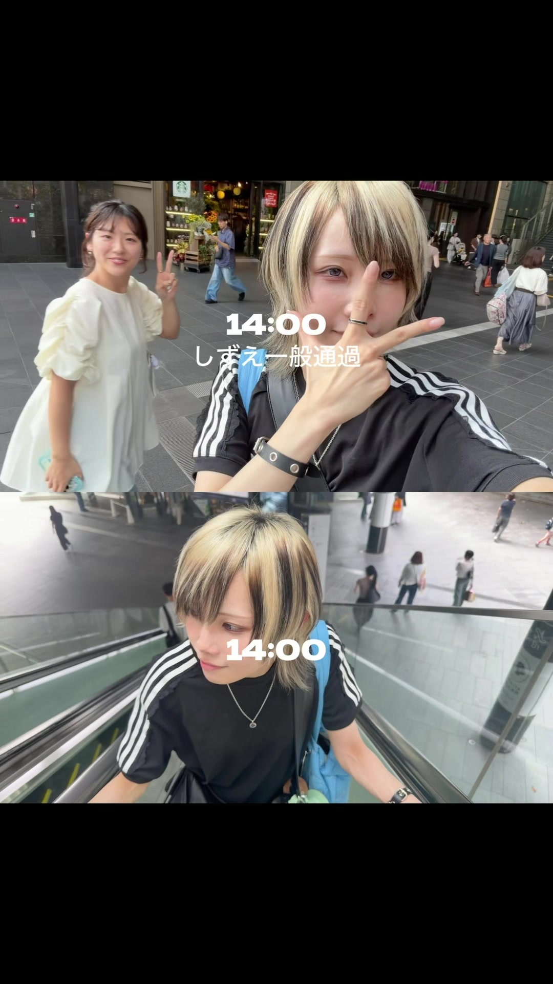 @ぼたん / botan