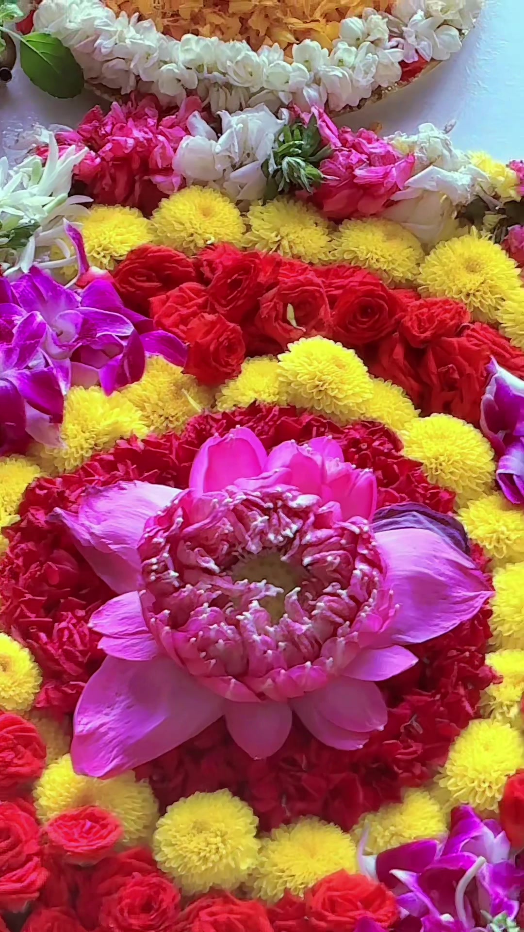 @🧚🏻Gayathri Muralidharan🇸🇬