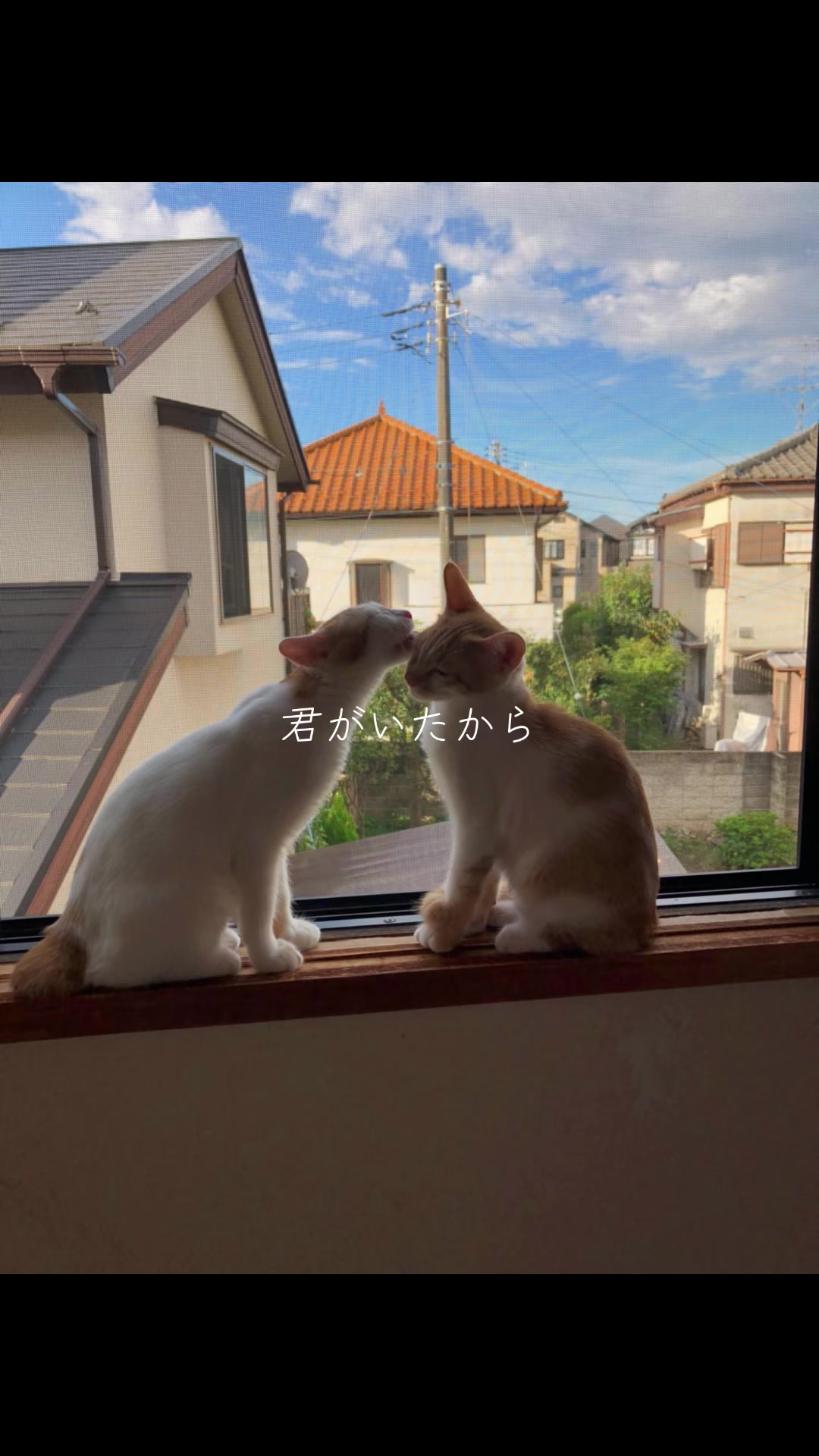 @わたっぴ