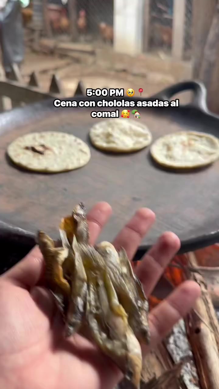 @🇸🇻🫶SENSUNTEPEQUE🫶🇸🇻