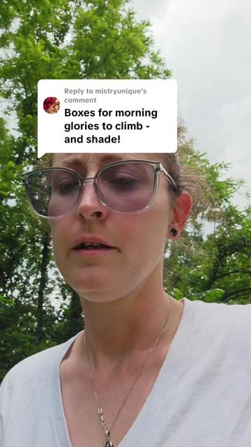 @Sparkplug