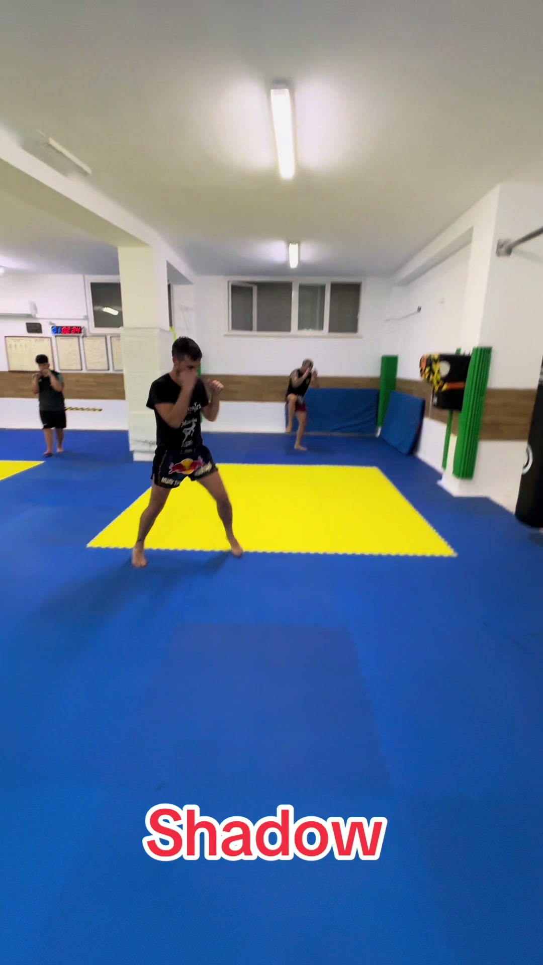 @Gianfranco Ponte Trainer