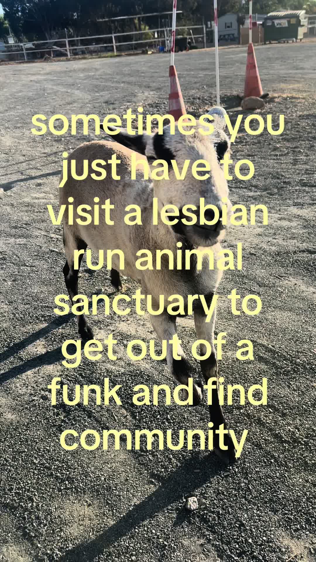 @Maya