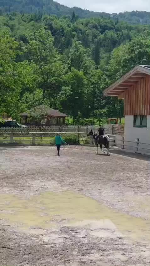 @Mountain Hill Ranch 🇦🇹