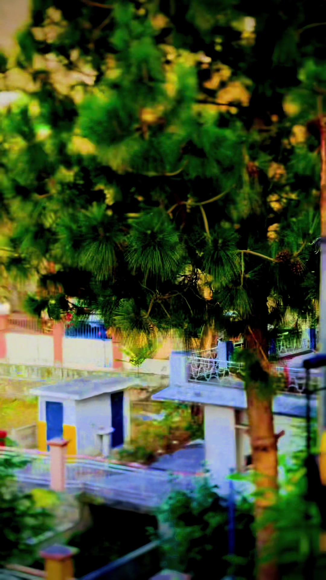 @ÃLtÃF HÜsSãîÑ