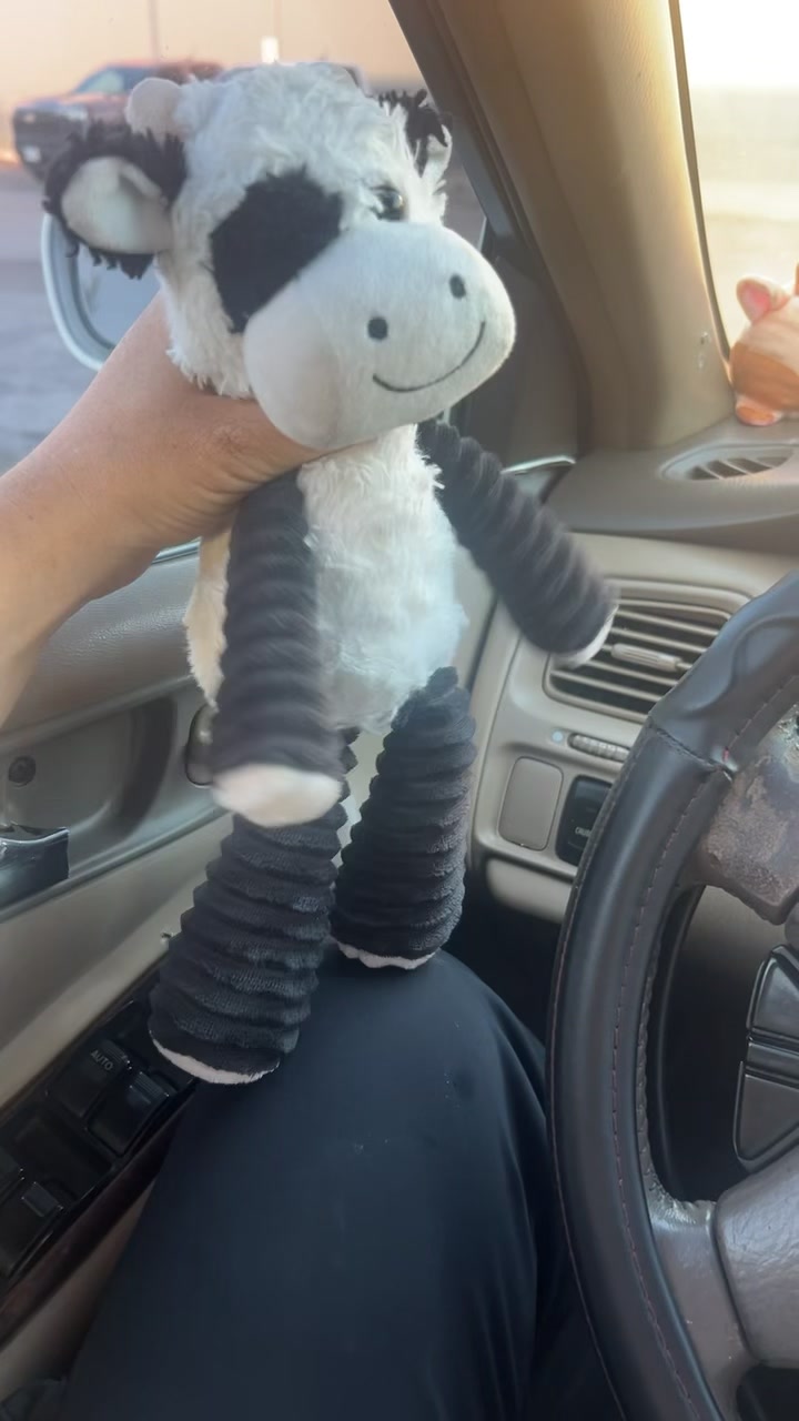 @Moobly The Cow