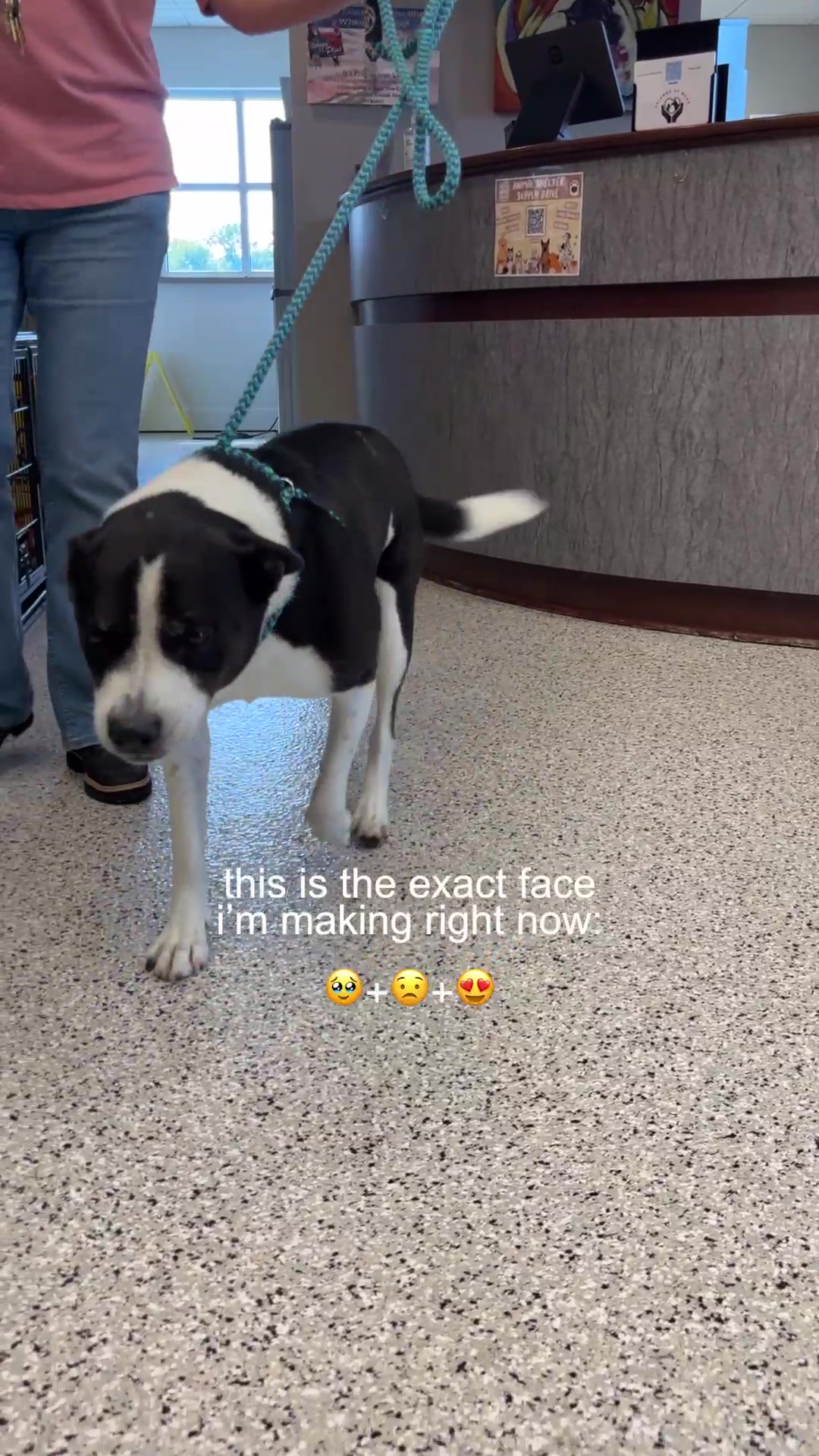 @Mutual Rescue