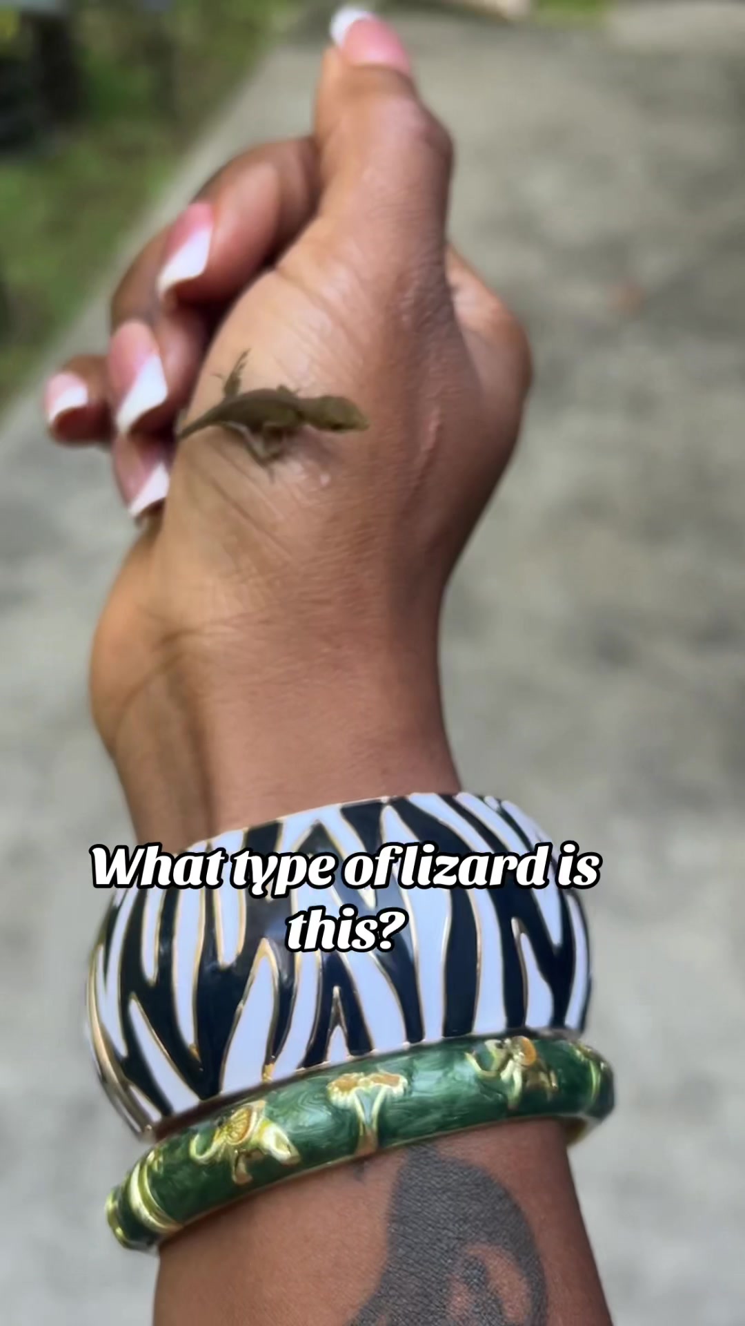 @deestarks79