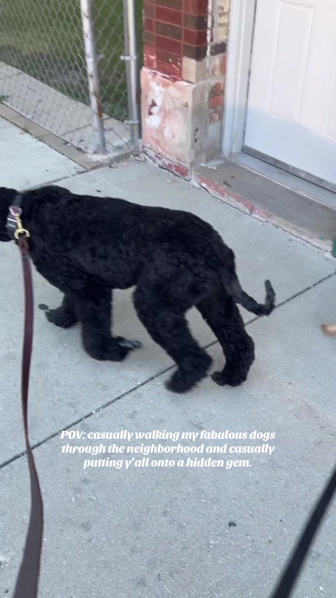@packwalkdiaries