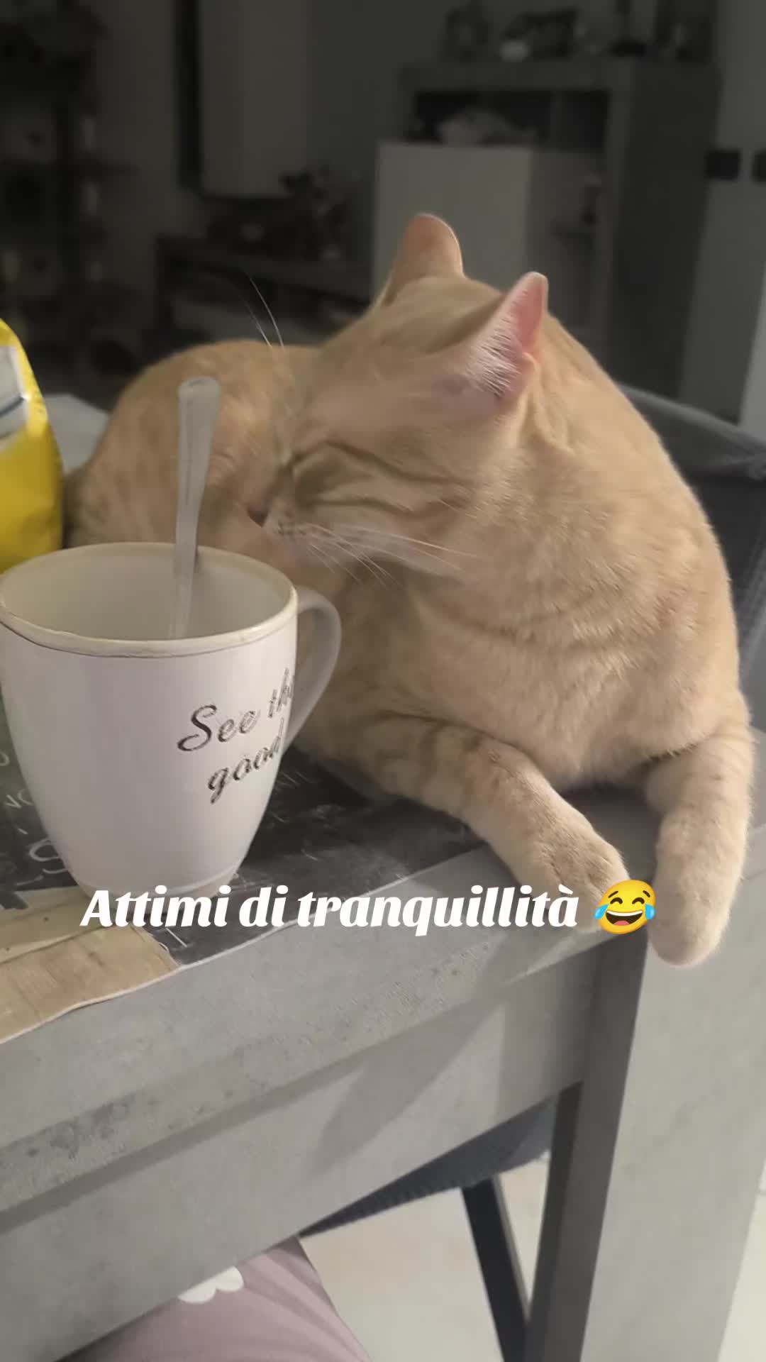 @Pina