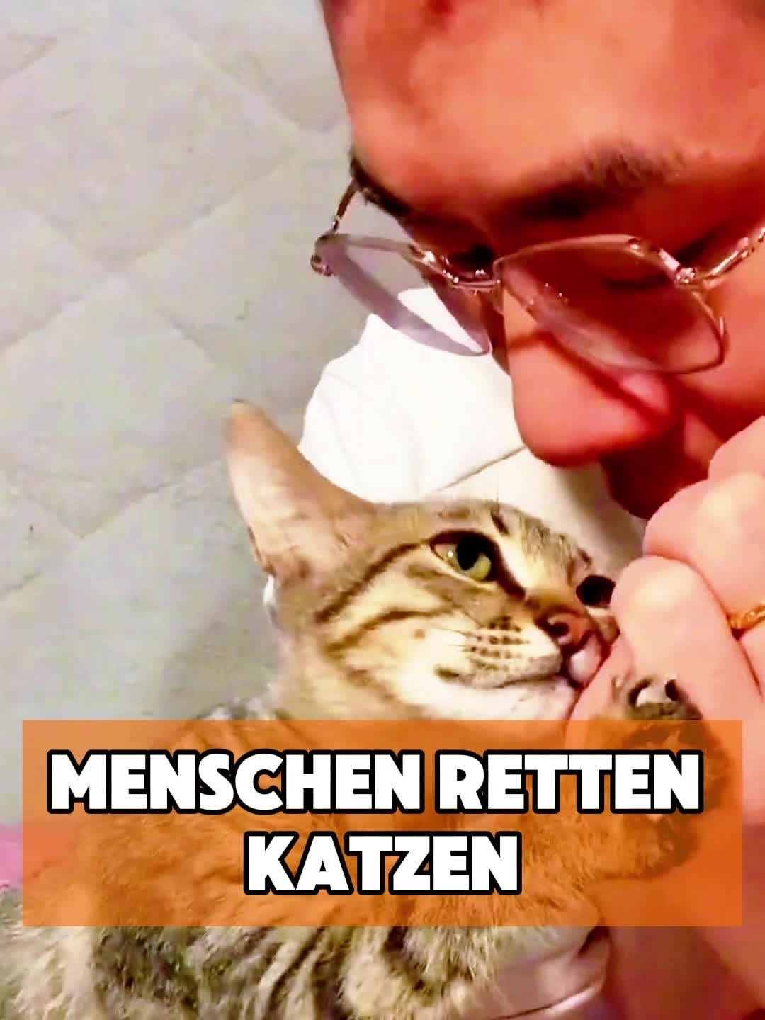 @toto_tier