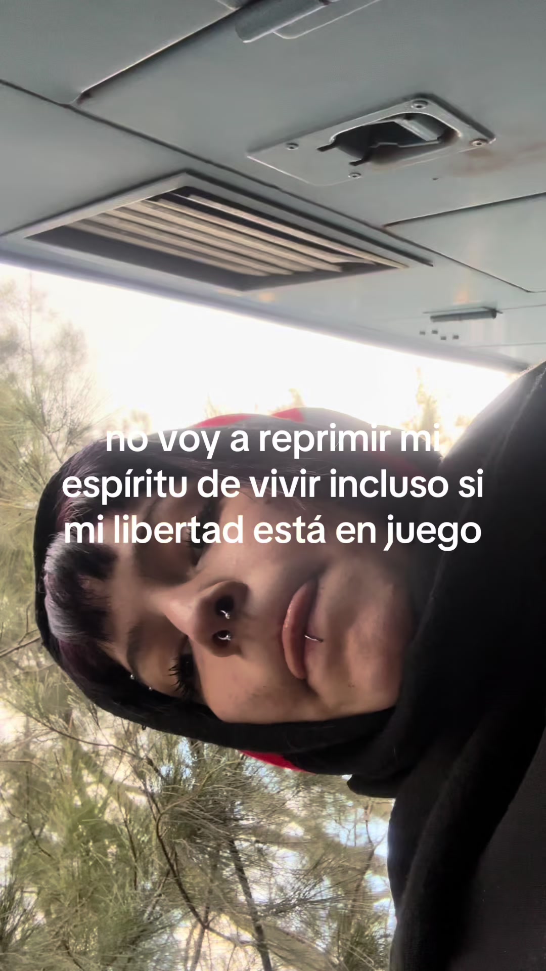 @gato punketo