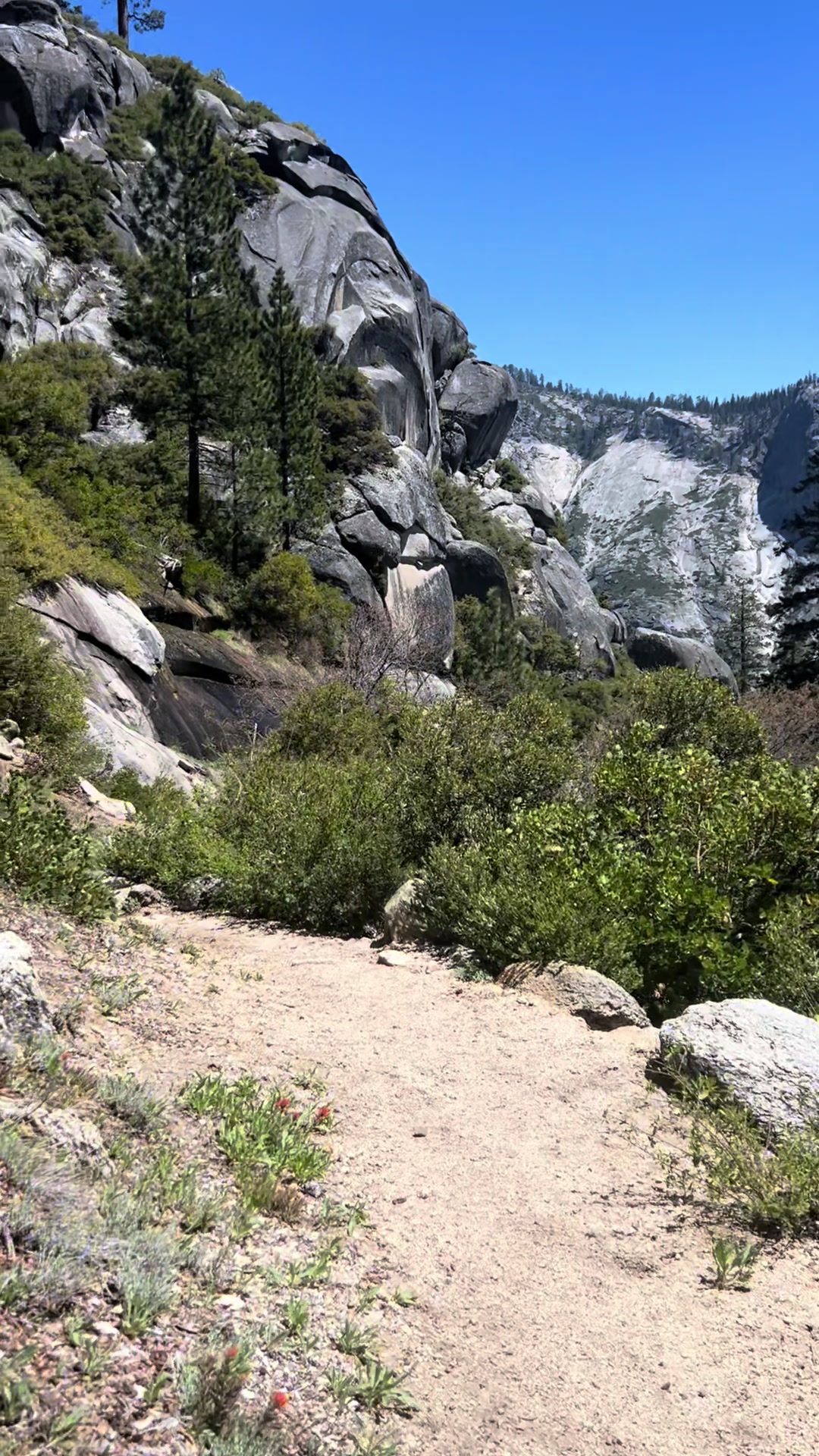 @🥾Trailz\w/Terra🏔️