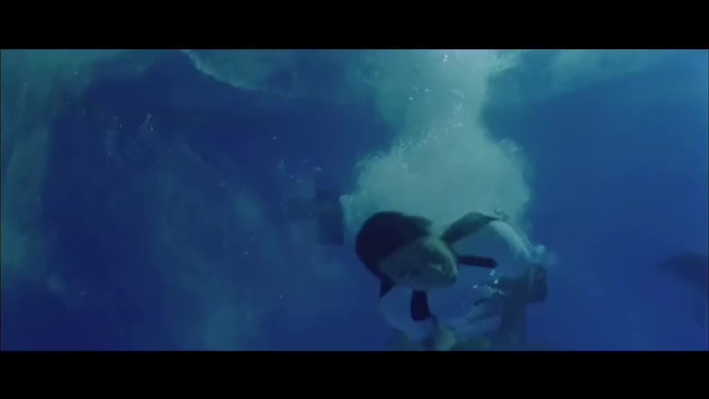 @mrthestray