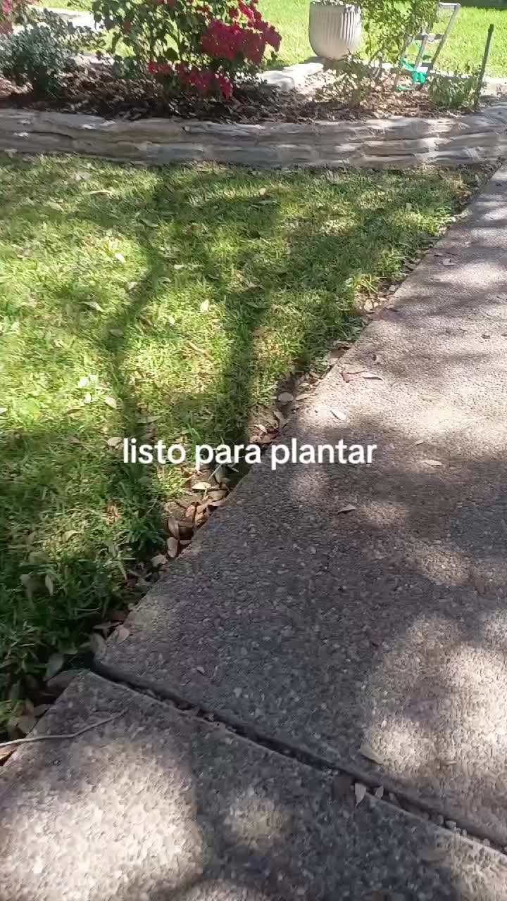 @luna Pérez