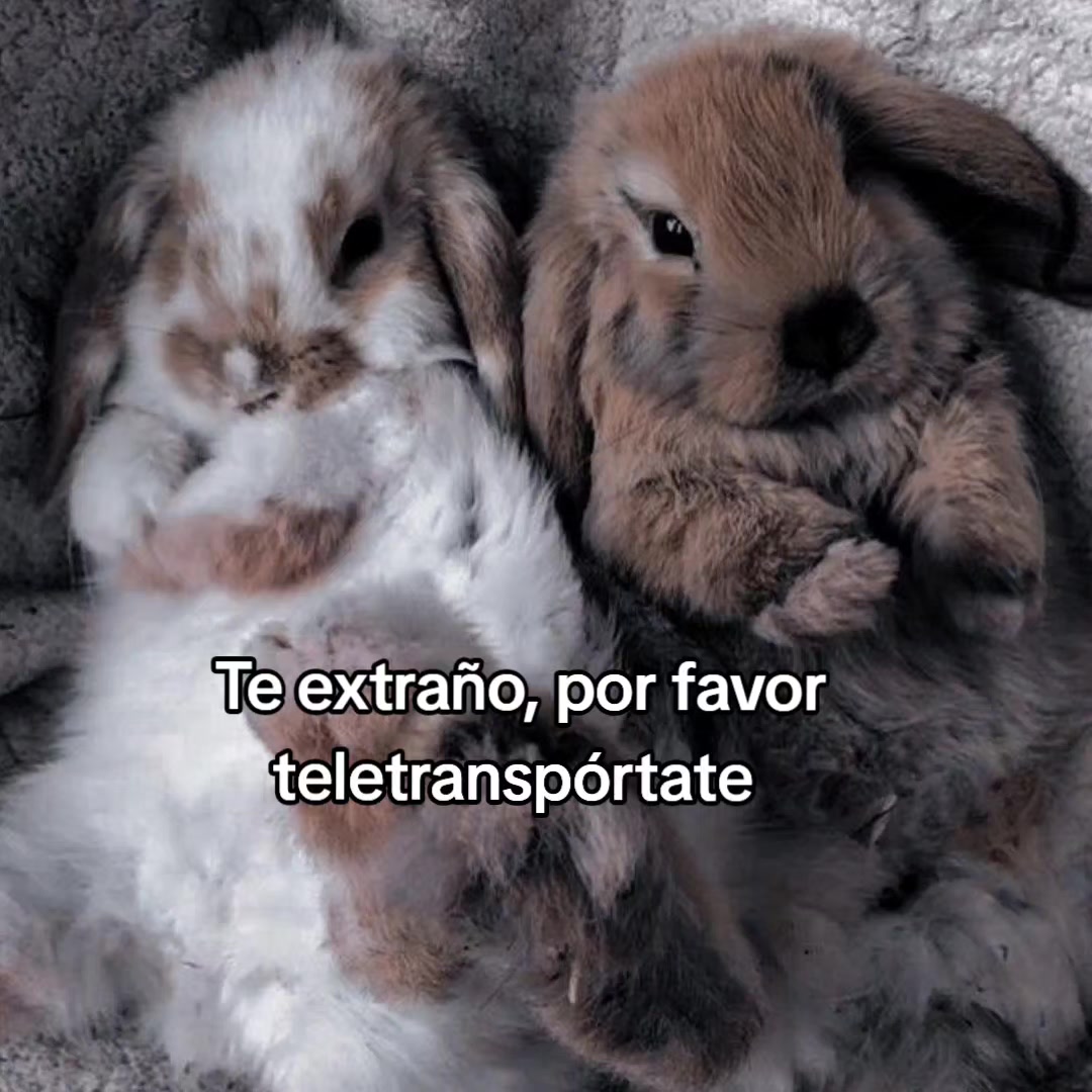 @goodvibessxd