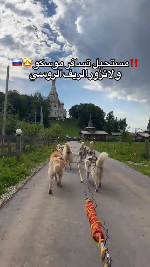 @tourism_russia_company