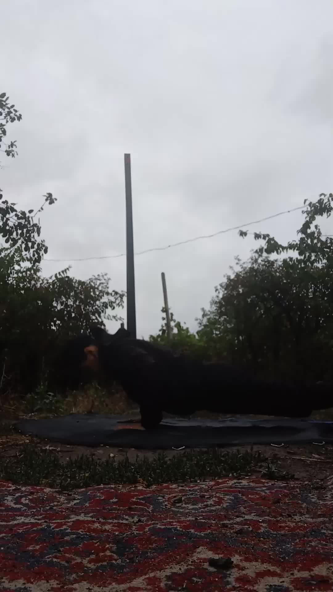 @Валерия Сергеевна