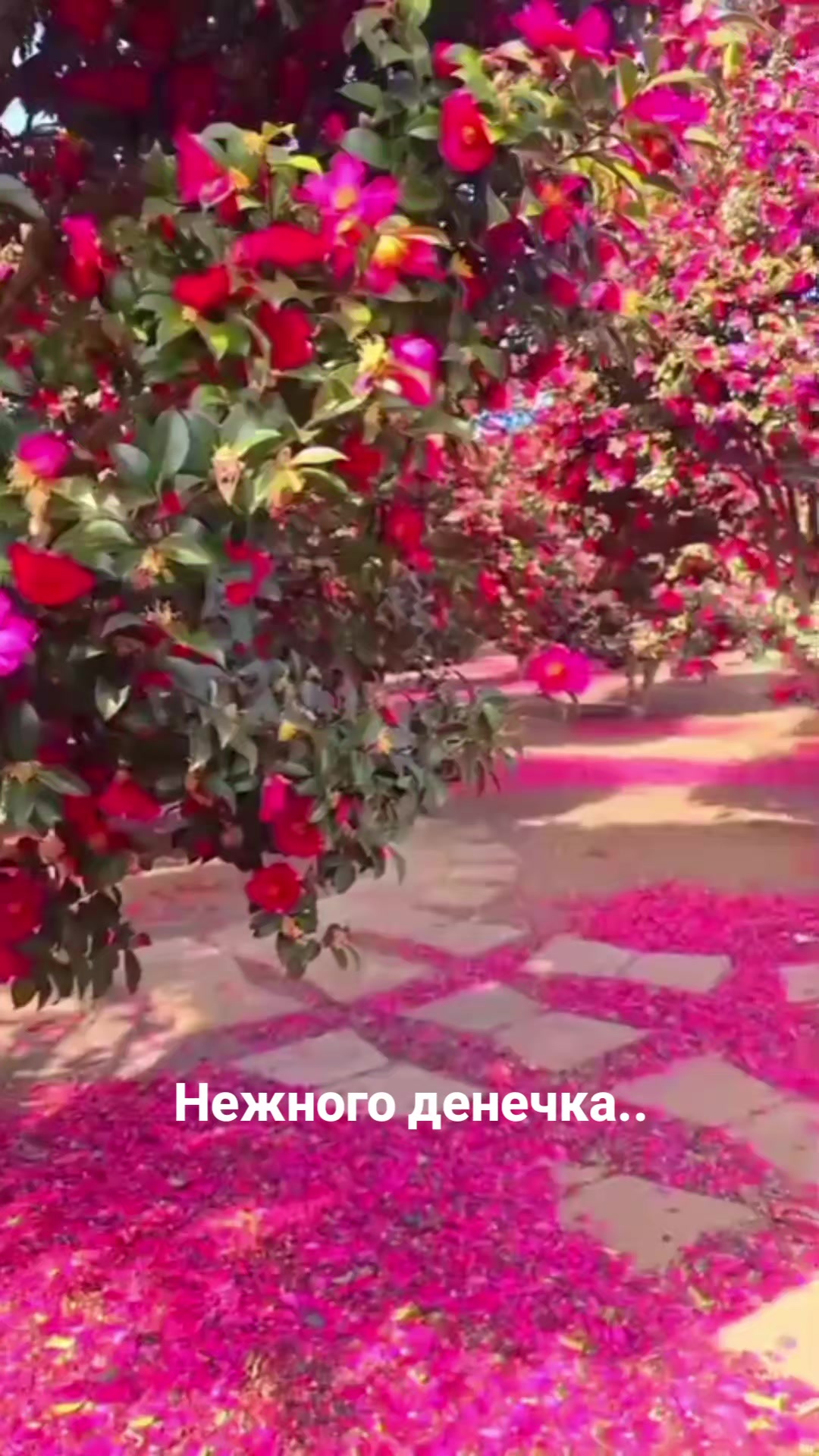 @Мила Телец.