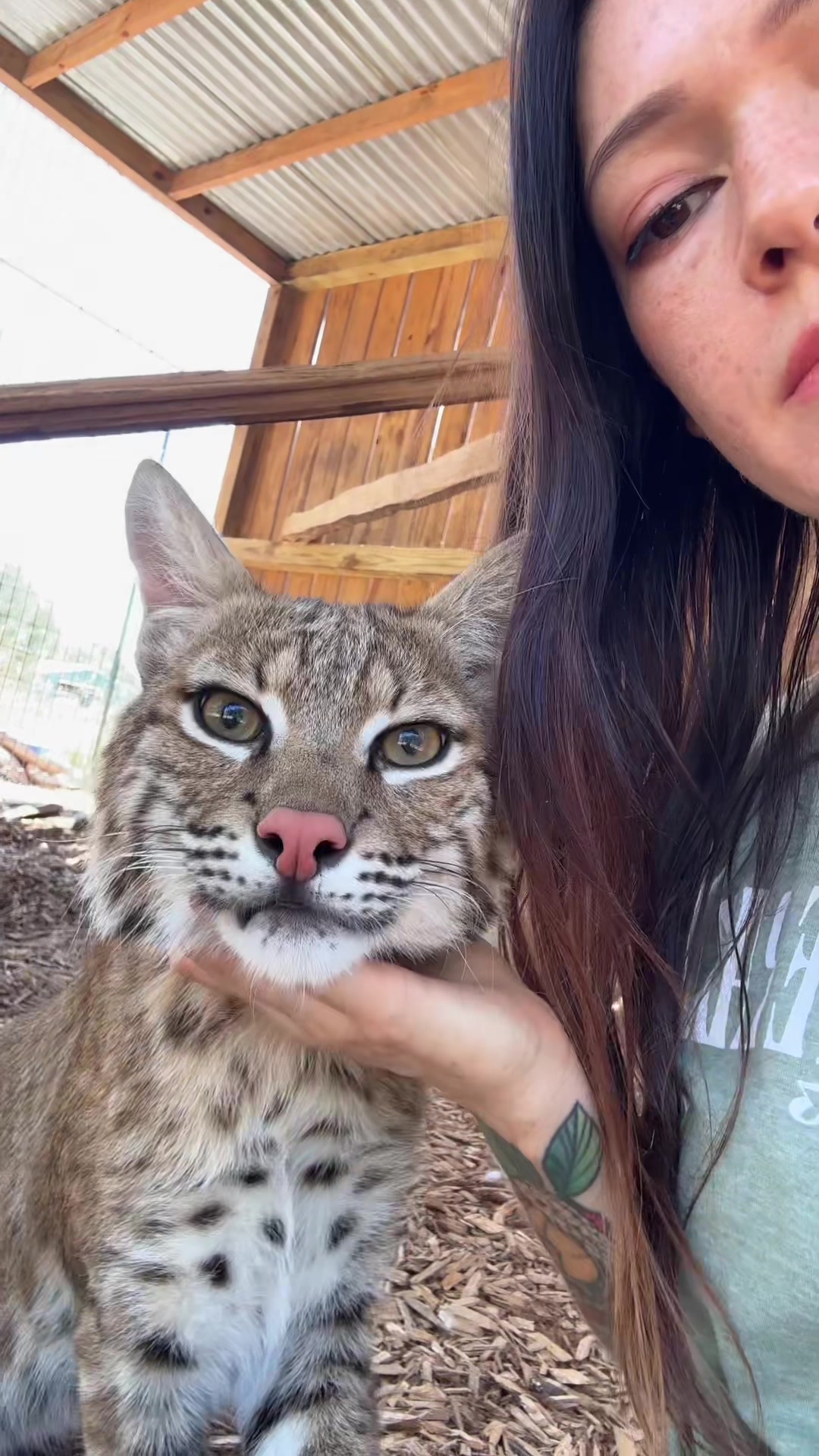@Texas Wildlife Park